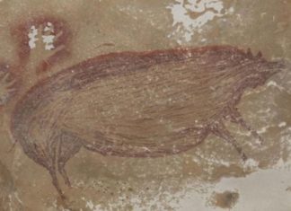 Археологи нашли древнейший наскальный рисунок животные