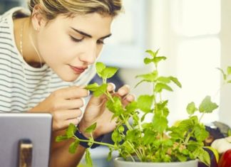 Как вернуть обоняние после коронавируса