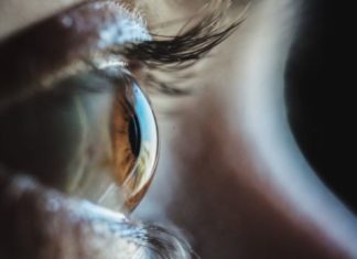 Слепому человеку смогли частично вернуть зрение. помогли водоросли