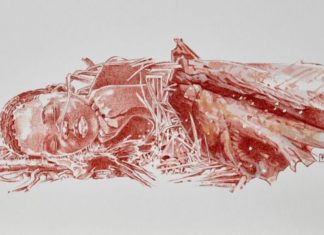 В Африке нашли древнейшую могилу ребенка. Ей 78 000 лет