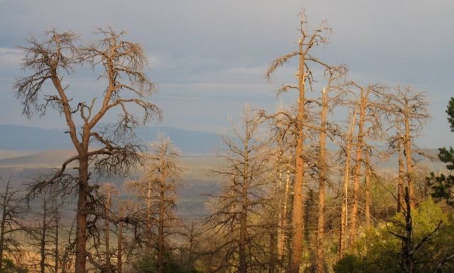 Тысячелетняя грязь свидетельствует, что человечество влияет на природу дольше, чем мы думали