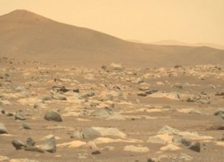 100 дней на Марсе фото от марсохода NASA Perseverance