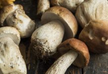 Сушеные грибы по доступной цене