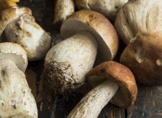 Сушеные грибы по доступной цене