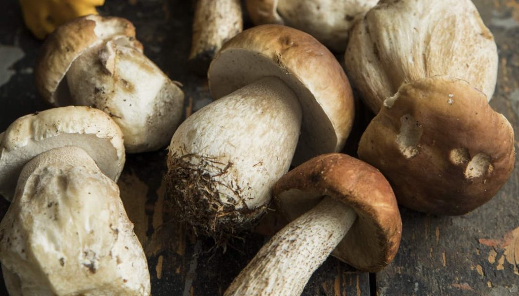 Снимок экрана 2023-01-28 192859