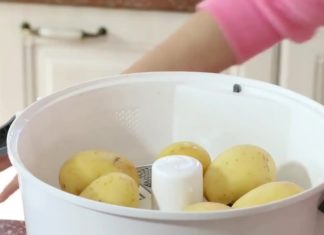 Профессиональные картофелечистки