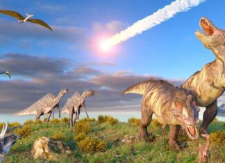 Астероид-убийца динозавров был не единственным: ученые раскрыли впечатляющие детали