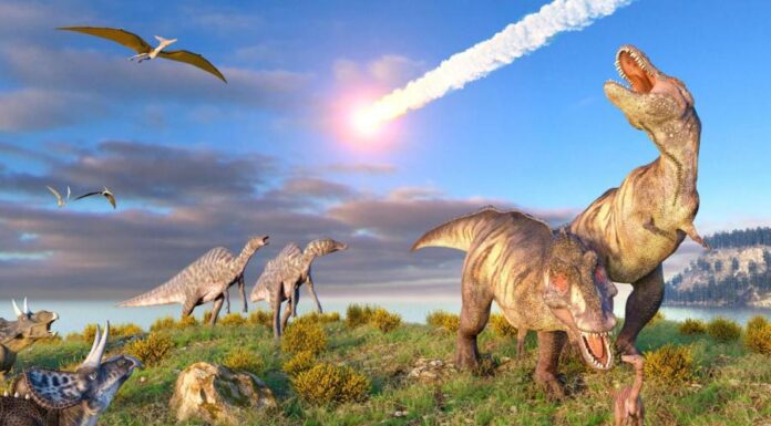 Астероид-убийца динозавров был не единственным: ученые раскрыли впечатляющие детали