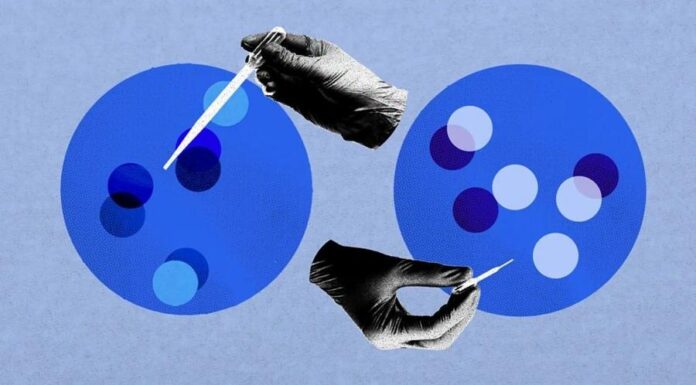 Революционные подходы к искусственному оплодотворению: как улучшить его эффективность