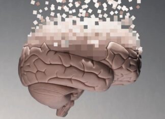 «Большая перепрошивка». Что происходит с мозгом после 40 лет