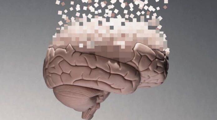 «Большая перепрошивка». Что происходит с мозгом после 40 лет