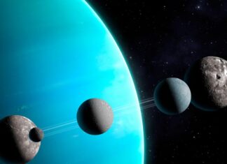 Есть ли рыба на Уране? На спутниках планеты могут быть условия для жизни