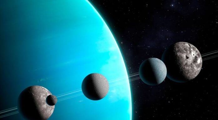 Есть ли рыба на Уране? На спутниках планеты могут быть условия для жизни