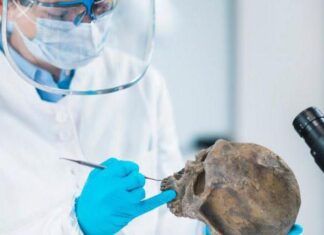 Историю человечества придется переписать: люди выжили благодаря сексу с неандертальцами