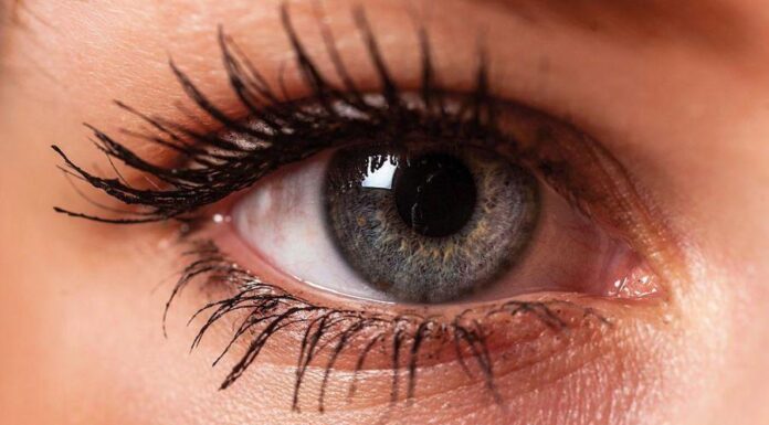 «А вы знали, что у нас семь, а не пять чувств?»