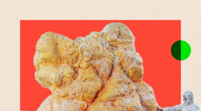 Духи из канализационных отходов. Как это возможно?