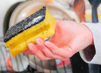 Губка или кисть? Ученые рассказали, что лучше для мытья посуды