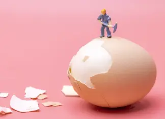 Ученые нашли, как приготовить идеальное яйцо. Но этот метод может не понравиться