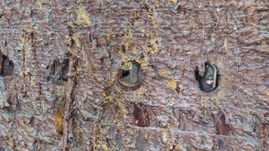 51b19143200d67ed5692486c757f30ef