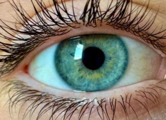 Ученые утверждают, что они обнаружили «новый цвет», который никто не видел раньше