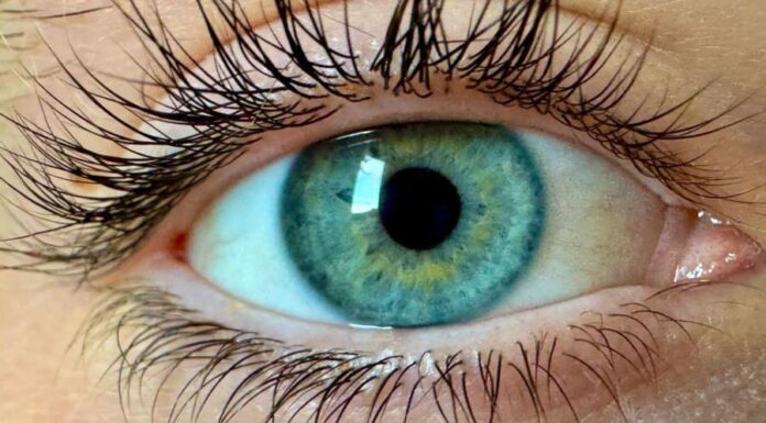 Ученые утверждают, что они обнаружили «новый цвет», который никто не видел раньше