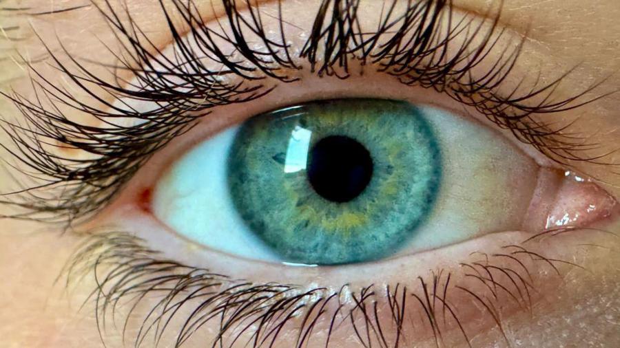 98804655713746227915fb1dcdac6d4f