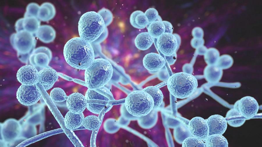 a15f8207766f63a05221094d07ac5e86