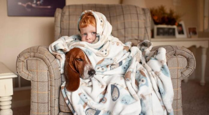 Оптимальная температура в доме: что это должно быть