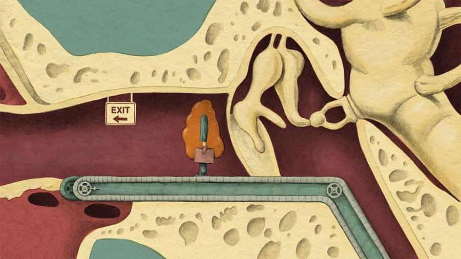 6cfb2d8dccdc7ea84a016d1ab4a319e0