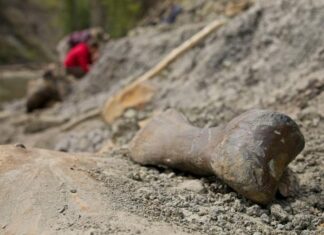 Место, где тысячи динозавров были немедленно убиты. Ученые раскрывают тайну рек Смерти