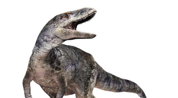 Ученые обнаружили новый вид, который меняет историю эволюции тиранозавров