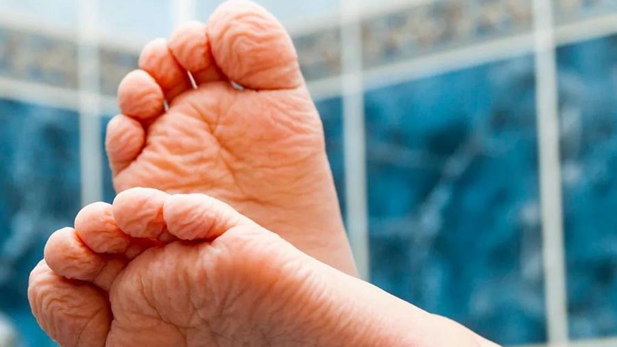 fd1935aba6f47cbf2b1589544a03b6c7