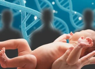 Избавьтесь от смертельных заболеваний. Как дети от ДНК трех человек