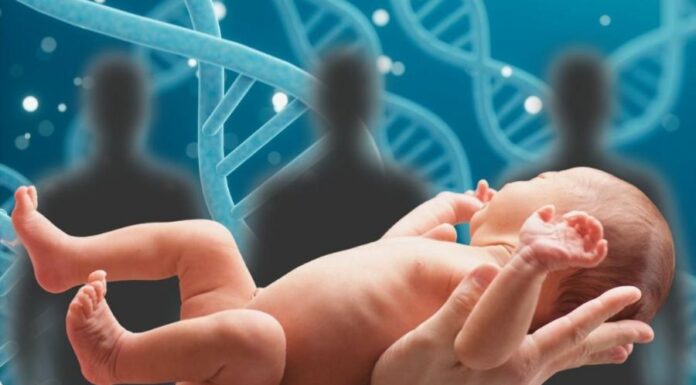 Избавьтесь от смертельных заболеваний. Как дети от ДНК трех человек