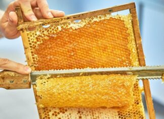 Почему мед практически не ухудшается