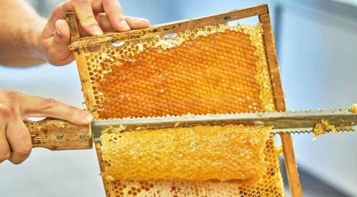 Почему мед практически не ухудшается