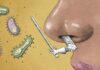 Зеленый, желтый и даже черный — что может сказать сонат?