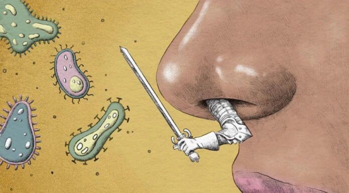 Зеленый, желтый и даже черный — что может сказать сонат?