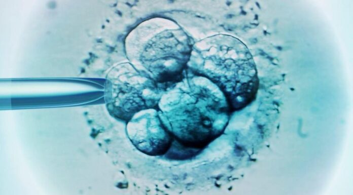 «Как в кино». В США, n ребенок родился из 30-летнего замороженного эмбриона