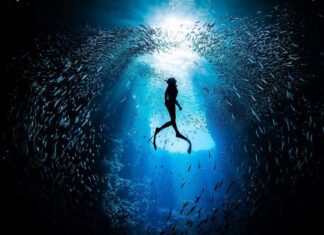 Seal people: те, кто ныряет на глубину более 100 метров без снаряжения