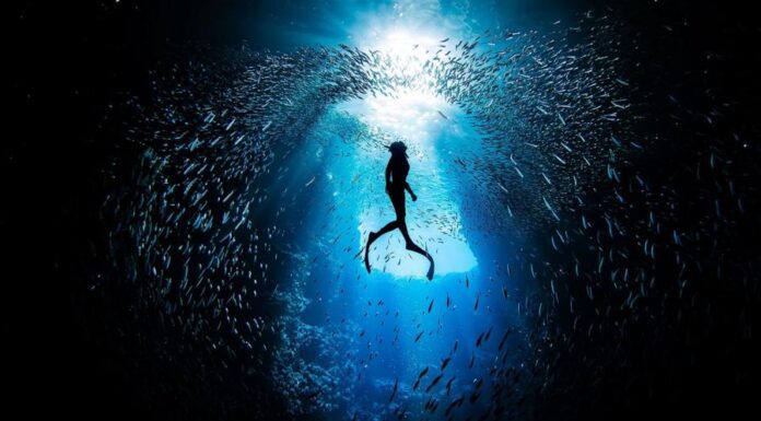 Seal people: те, кто ныряет на глубину более 100 метров без снаряжения