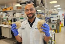 Зубы заживляют волосы: как работает новая технология