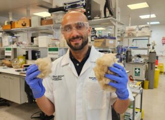 Зубы заживляют волосы: как работает новая технология