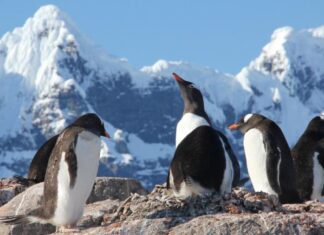 Холодное лето 2025 года — глобальное потепление лень взяла паузу?