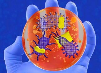 Как бактерии контролируют наш сон