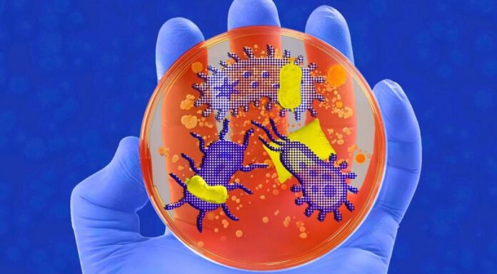 Как бактерии контролируют наш сон
