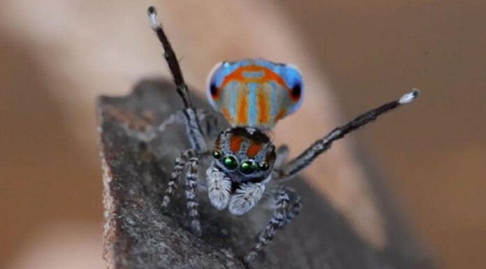 Темная ДНК: что это такое и какие тайны жизни она скрывает