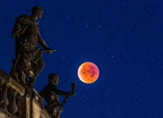 Тайны Кровавой Луны: почему она краснеет, меняет сон и даже поведение животных