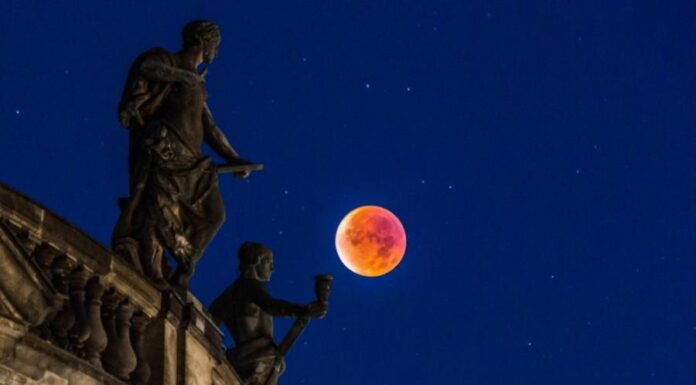 Тайны Кровавой Луны: почему она краснеет, меняет сон и даже поведение животных