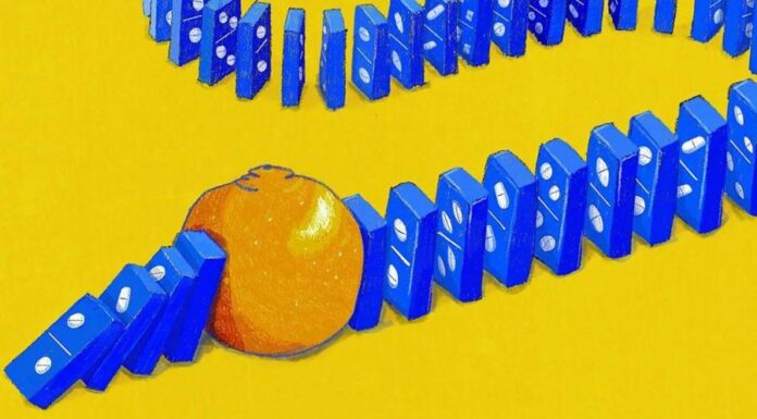 Как пища влияет на действие лекарств